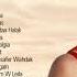 Hanine El Alam Greatest Hits Playlist Hanine El Alam Best Violin Songs Collection Of All Time