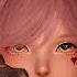 FFXIV Fake Human No 40