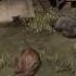 Low Honour Mrs Adler QuickDraw Red Dead Redemption Rdr2 Reddeadredemption2 Viralvideo Adler