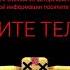 THE STRANGENESS OF FAKE TNT RUSSIA ANTI PIRACY SCREEN 2021 2022