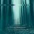 Portal To The Twilight Forest Horror Ambient Music