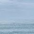 Sweet Sound Of The Sea The Most Beautiful Music In The World Selected Compositions Of Sergey Gri