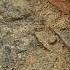 Treasures From The Mysterious Well Shocked The World Treasure Hunting