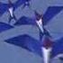 Bird Kites