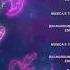 Winx Club Season 8 Ending In Vietnamese