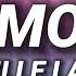 Achille Lauro AMOR Testo Lyrics