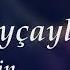 Elcin Goycayli Elmeddin Qardasim