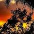 Lana Del Rey Brooklyn Baby Dreamy Version Slowed Reverb