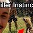HOW DO YOU SEE IF A HYENA WANTS TO KILL YOU Shorts