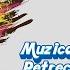 Muzica Moldoveneasca Muzica Populara Muzica De Petrecere
