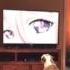 Dog LOVES Monster Musume OP