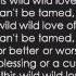 Wild Wild Love Pitbull Ft G R L