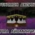 ЖУМА МУБОРАК JUMA MUBORAK SHORTS BETA