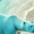 Beautiful Relaxing Polarscape Music By Yellow Brick Cinema Zen Healing Sleep Meditation Music