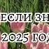 Танцуй если знаешь этот тренд 2025 году