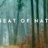 The Beat Of Nature