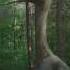 Prehistoric Planet Quetzalcoatlus Fight Resounded
