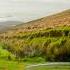 Is ALL Irish Off Road Like THIS S1E73