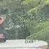 Pursuit Of Armed Woman Ends In Officer Involved Shooting In Los Angeles On Memorial Day