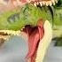 Spinosaurus Bites T Rex Dinosaurs