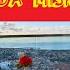 HÜDAYDA MİSKET ENS