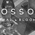 Blossoms Frad Bloom Instrumental