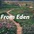 From Eden Hozier Slowed Reverb