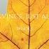 Yanvince Just Alex Whole Lyrics