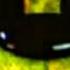 FNAF 2 Song Just Gold
