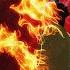 All My Friends Are Hot Extended Mix