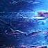 Really Slow Motion This Is Your Way Epic Dramatic Trailer