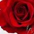DJ Antoine La Vie En Rose Paolo Ortelli Remix