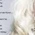 Lady Gaga Greatest Hits Full Album The Best Songs Of Lady Gaga
