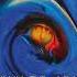 Rostro Del Sol Blue Storm 2023 Full Album