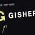 Gisher Ru Media Team