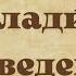 Священномученик Владимир Введенский пресвитер
