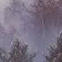 Chillstep Inum Southern Forest Future Garage Chill Beat