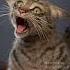 Horror Movie Cat Cliché