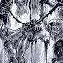 POV There Is No Justice In Berserk World Only Survival Berserk Edit Song Red Sex Slowed