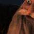 Sample Rise Of The Guardians 2012