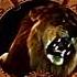 Metro Goldwyn Mayer 1956