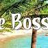Vintage Bossa Nova Covers 2022 Bossa Nova Songs Collection
