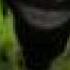 Ferngully Toxic Love Extended