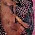 This Street Dog Boy S FIGHT FOR LIFE Can He Beat This Illness