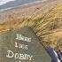 Grave Of Harry Potter S Dobby The Elf Saved BBC News