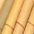 The Song Chiquitita By ABBA In A Pan Flute Version