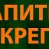 Звери Напитки покрепче Текст Lyrics