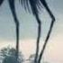 Country Giant Sounds Tall Beeves