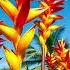 Top 10 Hawaiian Flowers To Transform Your Garden Twig Terrace