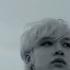 Stray Kids Chronosaurus F M V